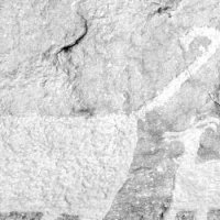 Petroglyphs : mountain lions ?